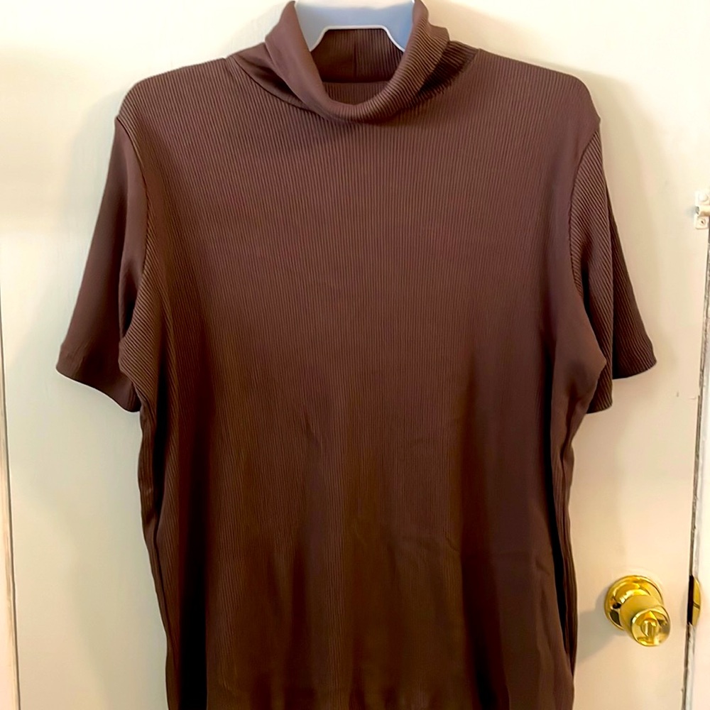 Cow neck brown top.